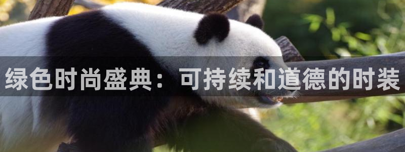 jdb电子安卓版客户端下载