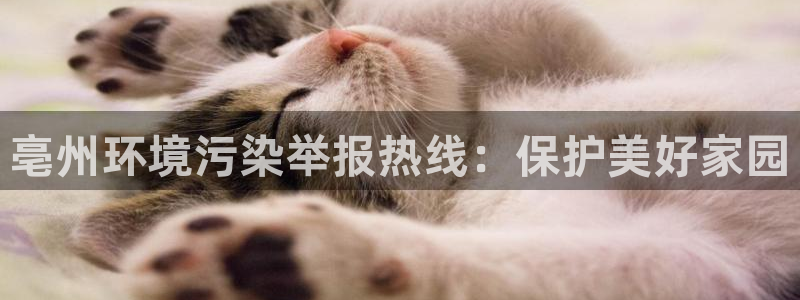 jdb电子爆奖视频幸运龙