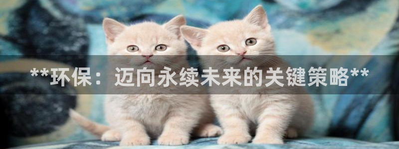 夺宝jdb网址