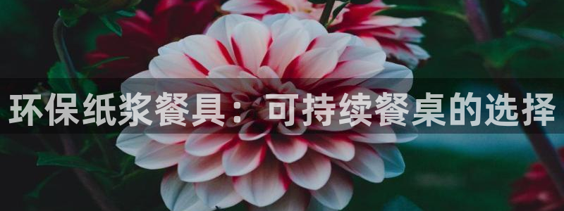 jdb电子开户官网