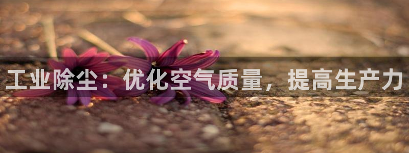 jdb台湾黑熊技巧