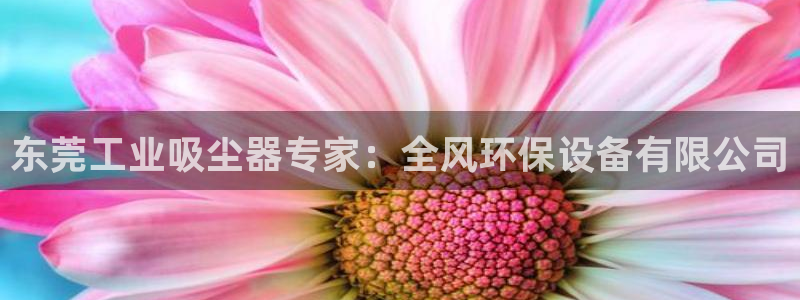 jdb飞鸟派对bug