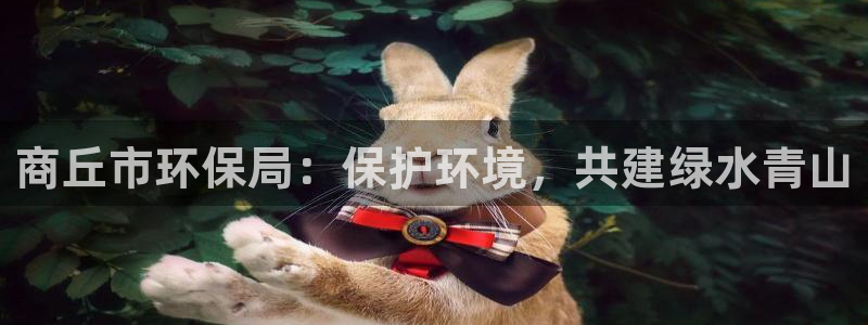 jdb电子是哪里开发的游戏