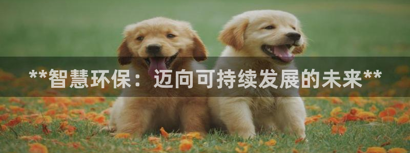 jdb试玩2000送体验金