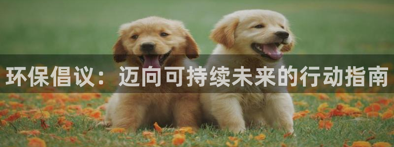 JDB平台维护一般多久