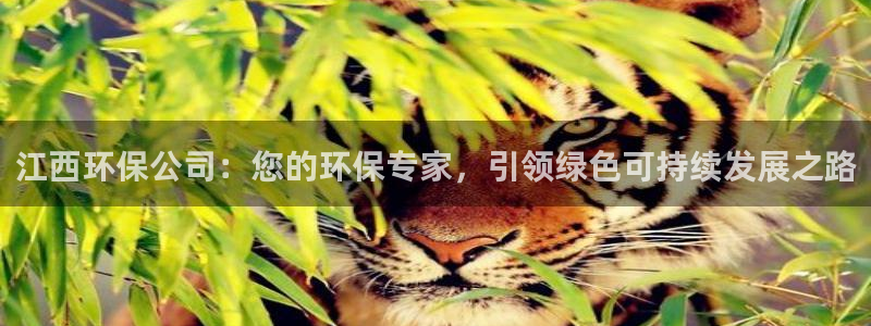 JDB电子游戏官网