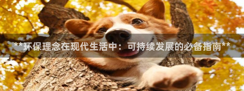 jdb电子工具