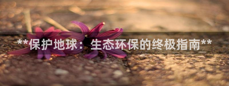 jdb电子飞鸟派对最火的一句