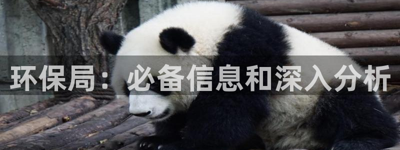 jdb游戏玩哪个