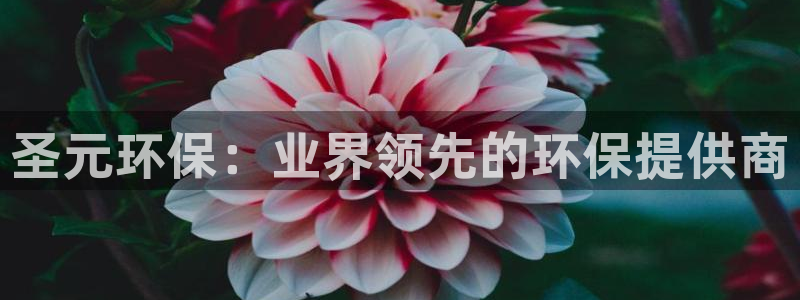 JDB电子游戏飞鸟派对宝箱