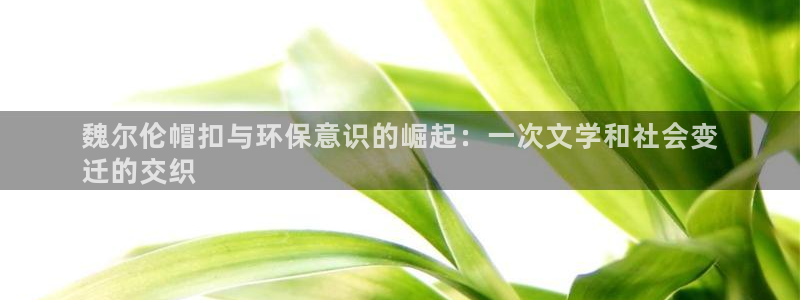 jdb电子爆奖视频花开富贵
