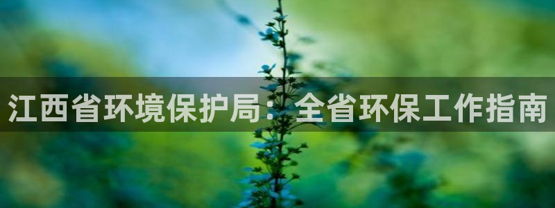 jdb电子台湾黑熊怎么玩