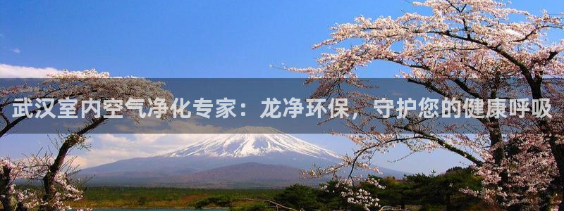jdb电子必输