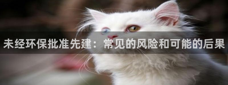 jdb电子金刚大奖视频