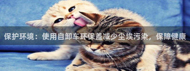 下载jdbc