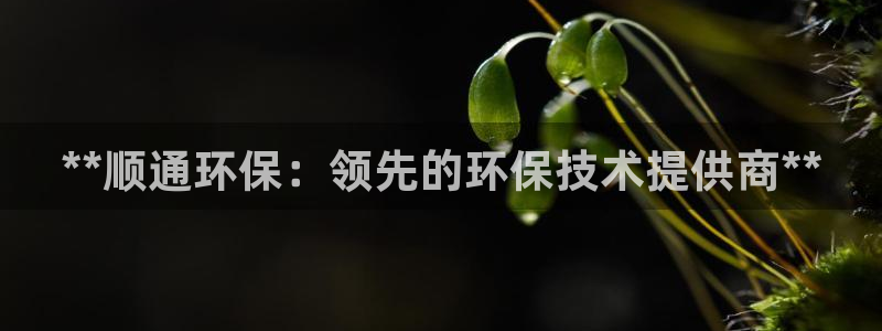 jdb台湾黑熊技巧