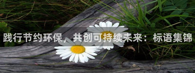 jdbc官网