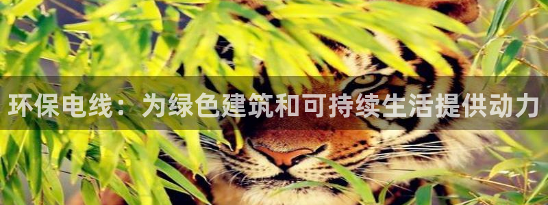 jdb电子厂